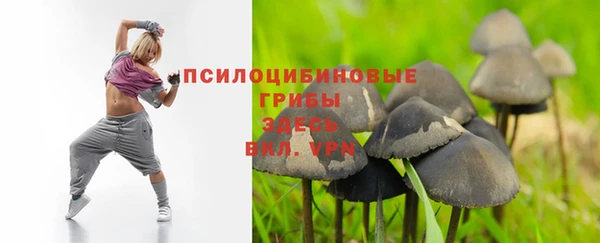 гашиш Ельня