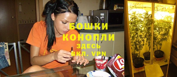 ALPHA-PVP Елизово