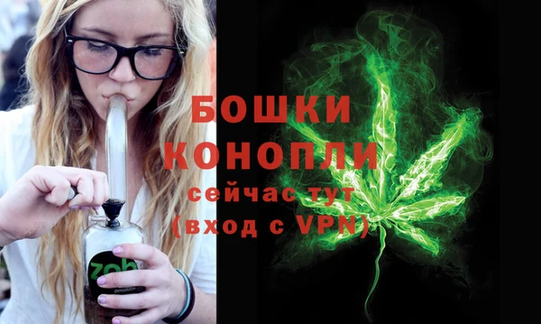 ALPHA-PVP Елизово