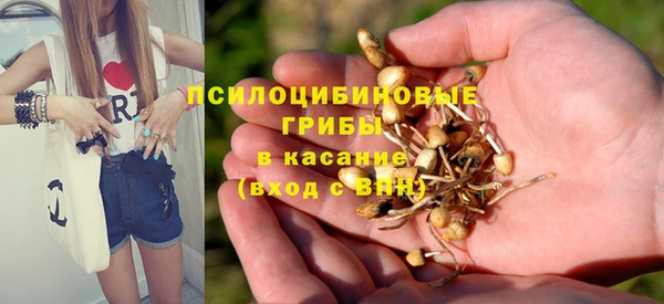 ALPHA-PVP Елизово
